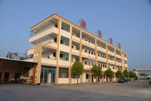揭秘河源放心粉 面,厉害了我的润谷工厂