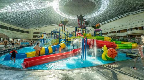 8.8万元业主权益卡 蓝谷壹号.臻玺购房臻礼等你来