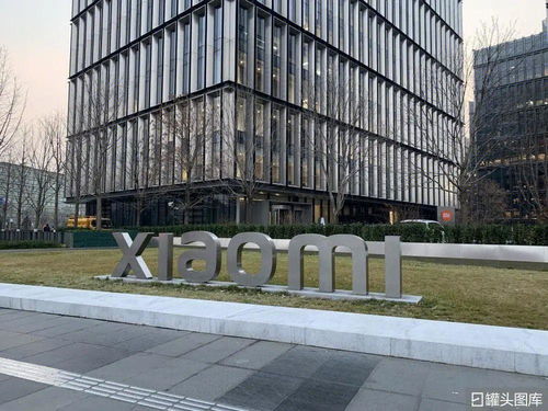 小米在印度,进退维谷