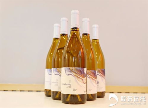 醇香烟台 微醺世界 仙岛酒庄 酿一瓶丘山谷风土的精品酒庄酒