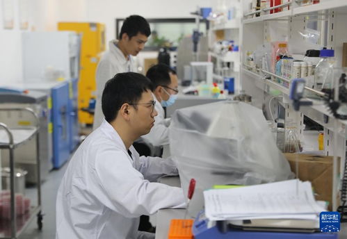 高质量发展调研行丨南昌 江中药谷 打造绿色生态美丽工厂