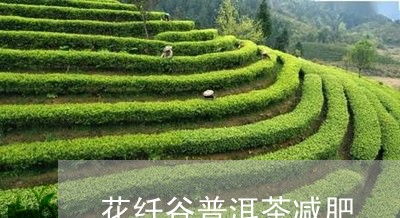 必读科普速递 花纤谷普洱茶减肥 花纤谷减肥加盟费多少 10日实时推荐 爱喝茶