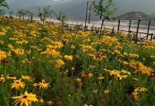 东港小岛全攻略 探索金沙谷的绝美风光