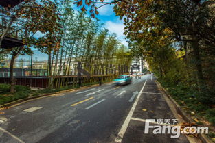 大宁易园写字楼出租 文创航母独享3露台，近马戏城站，业主直租