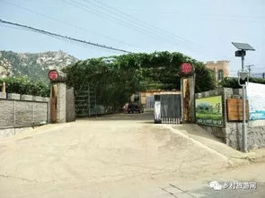 金沙谷里寻年味——故乡的年货记忆与新春期盼